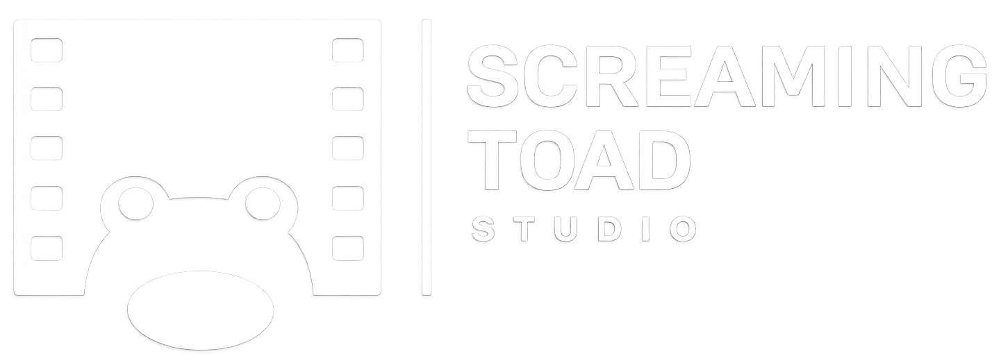 STS_LOGO